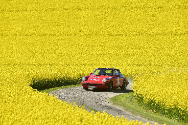 293 Klassisk Rally Porsche